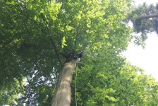 53_gc_stammtisch_26_20150506